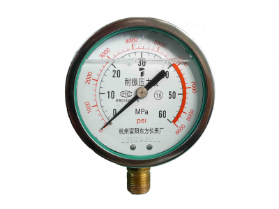 Pressure gauge